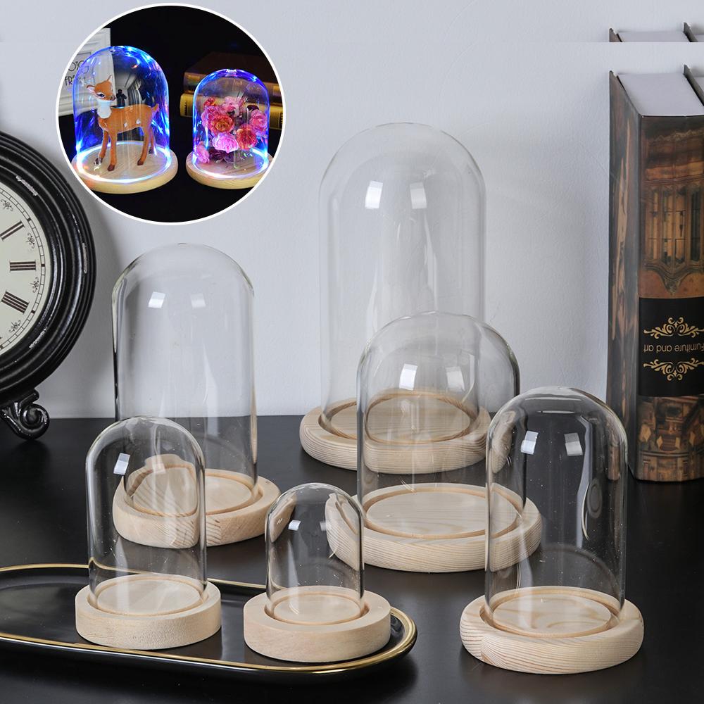 Home Decor Glass - Jarrón de cristal para plantas decorativas,
