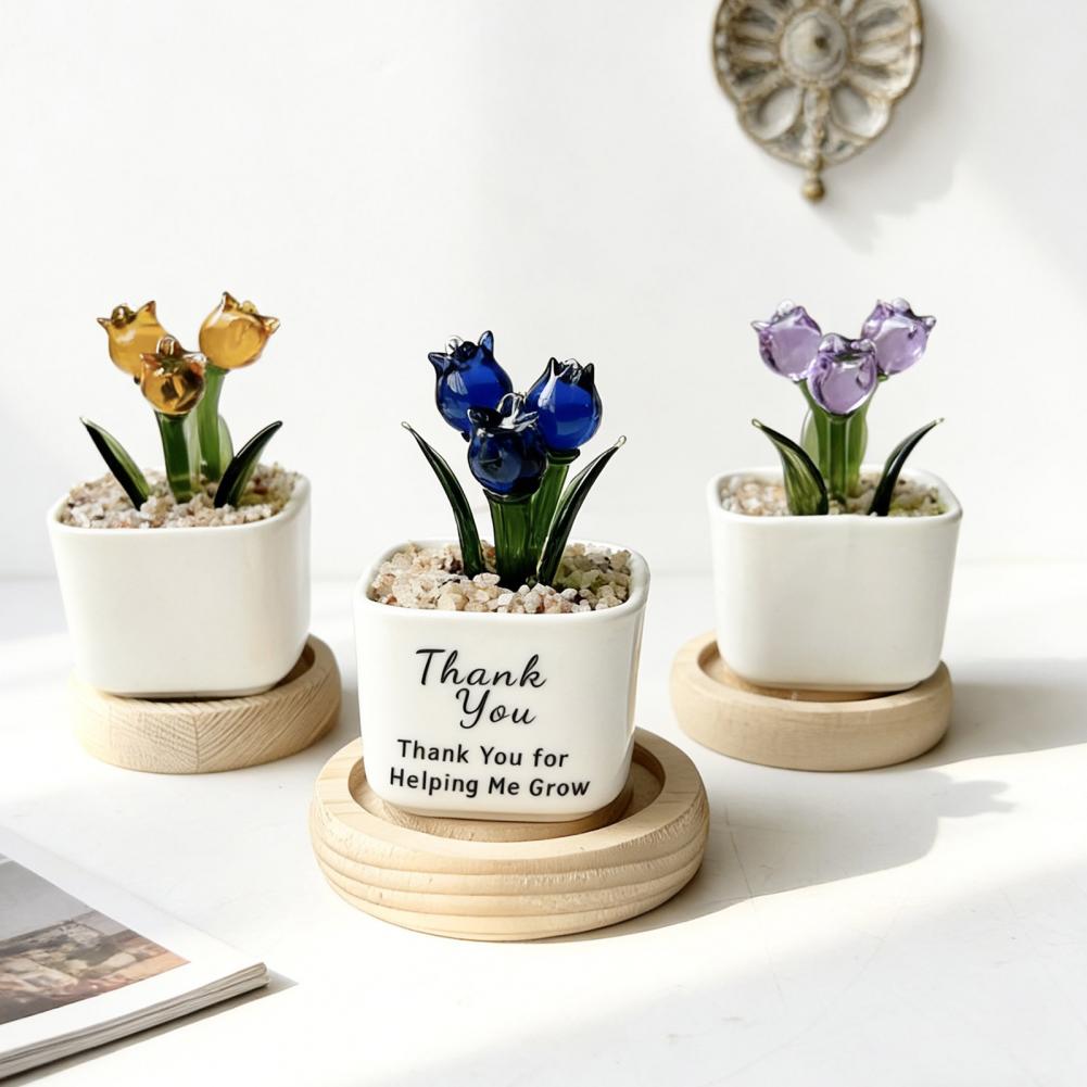 Home Decor Tulip - Mini Maceta de Cristal con Decoración