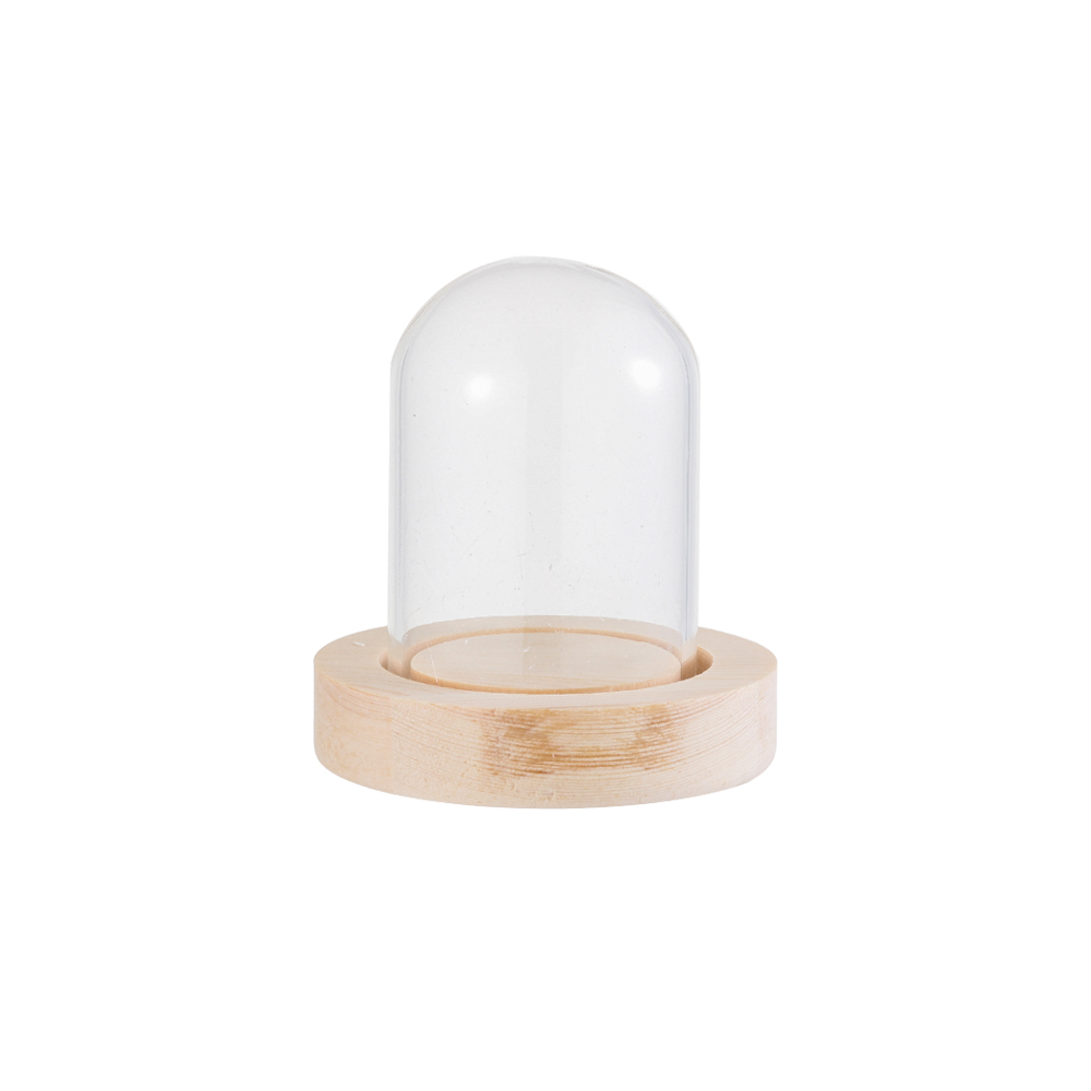 Home Decor Glass - Luces Decorativas para el Hogar, Terrario,