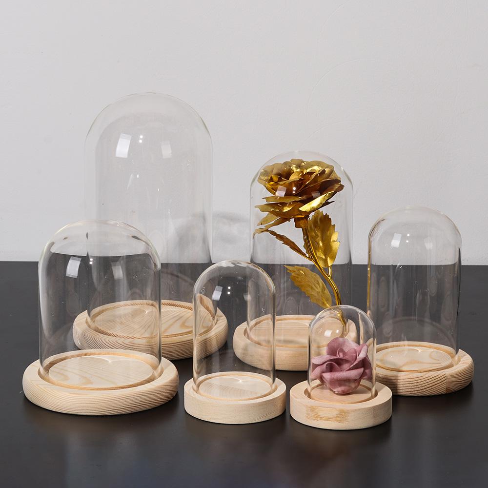 Jarrón de cristal para plantas - Home Decor Glass reseña y precio